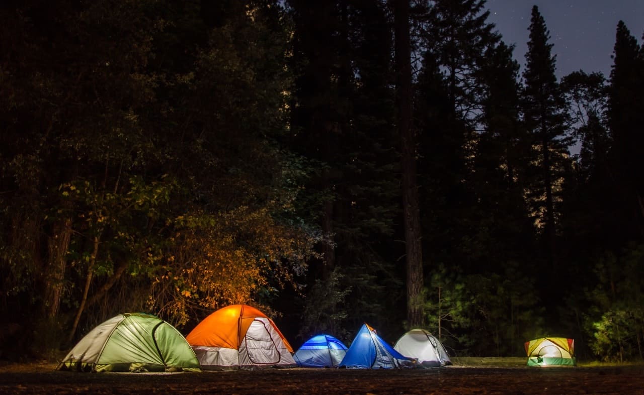 Camping tents with lights in the woods